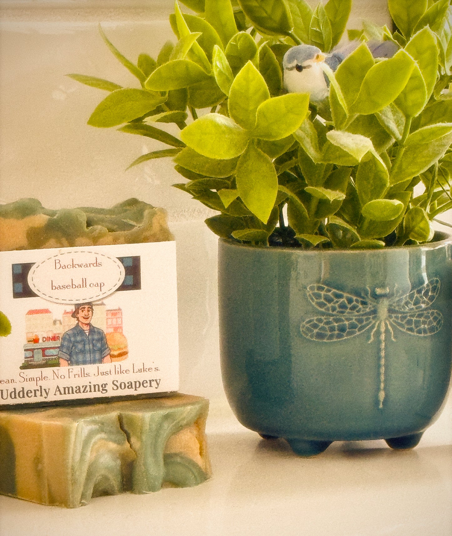 Backwards Baseball Cap