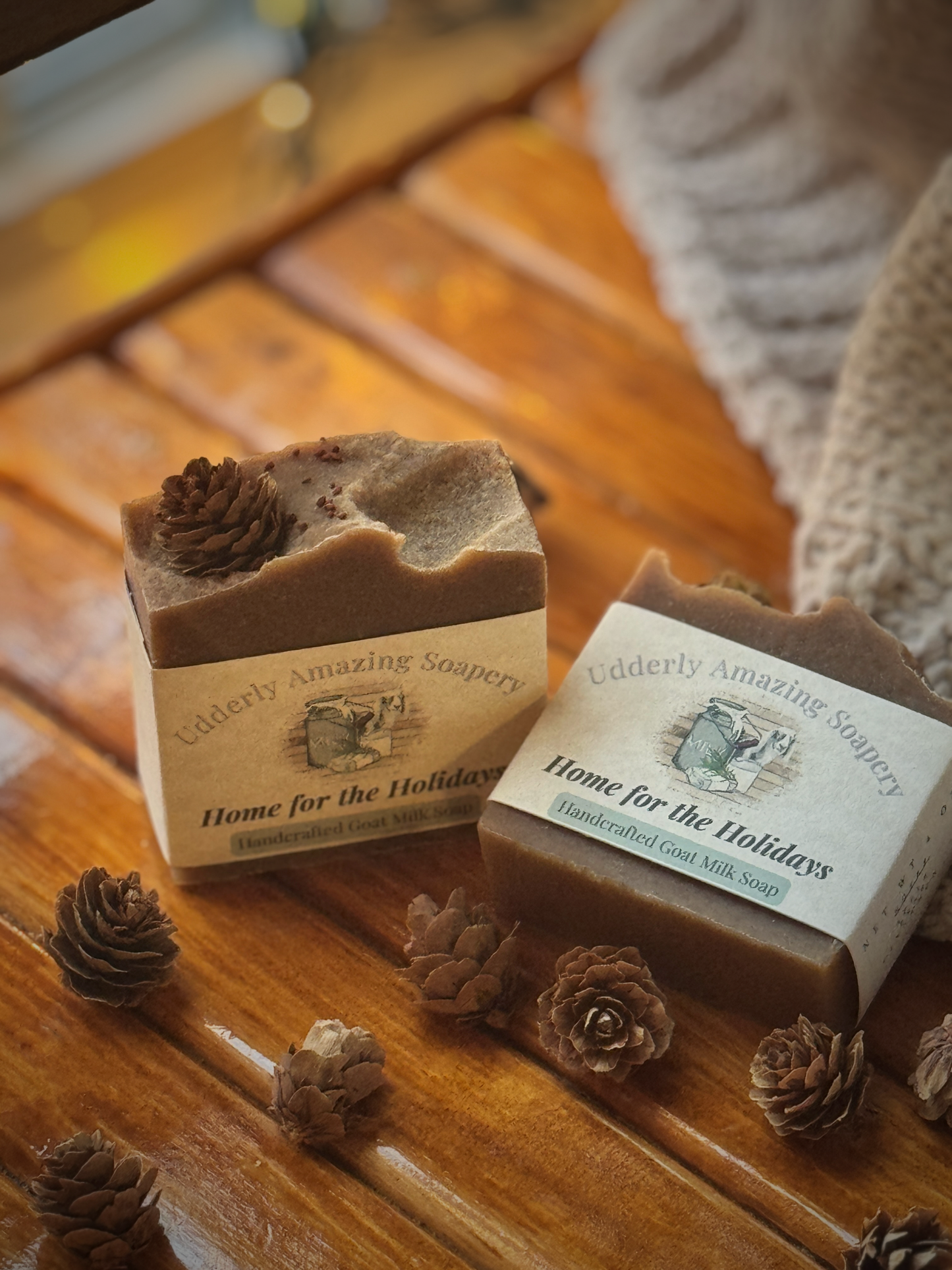 Home for the Holidays